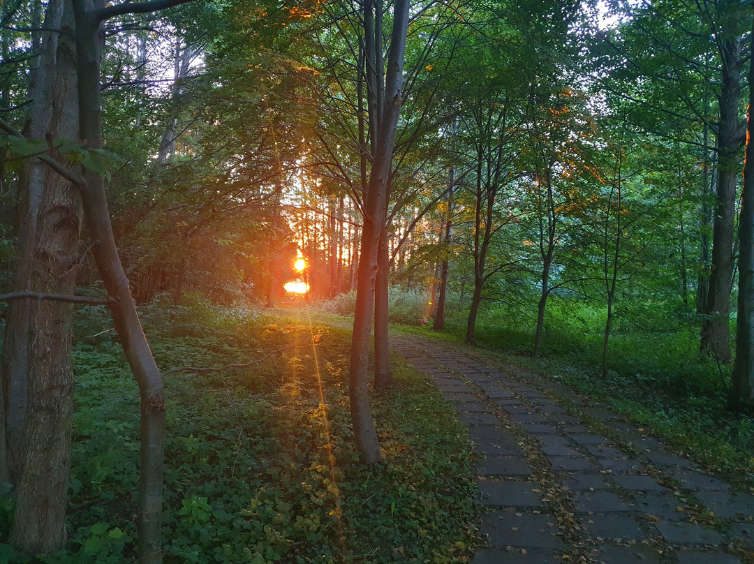 Leszkiland Pension主图