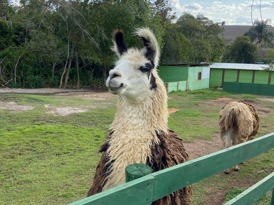 Fazendinha Ecológica Três Irmãos-Lagoa Dourada必去景点