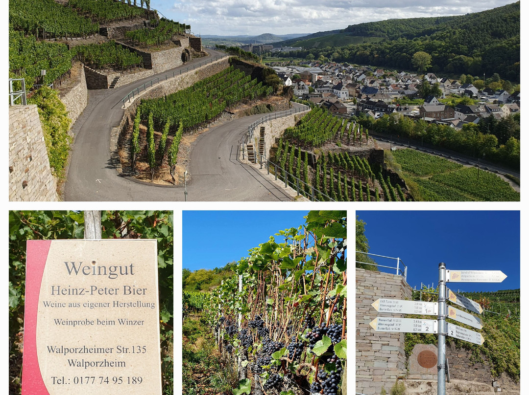 Hotel Villa Sanct Peter主图