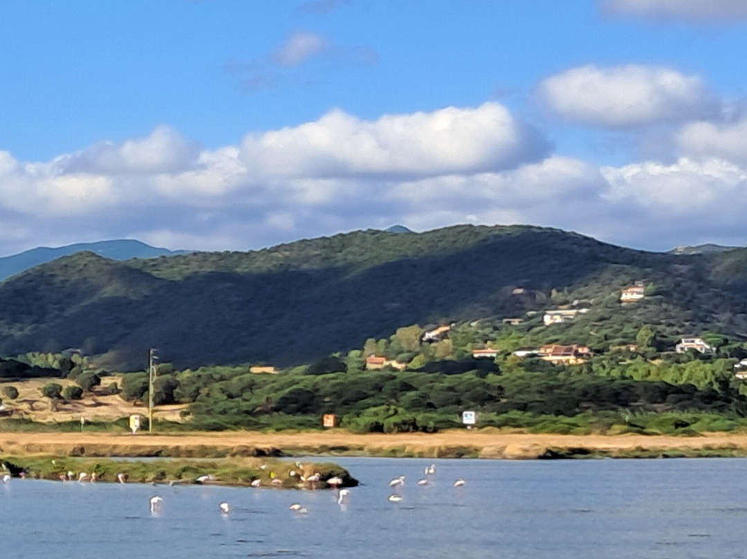 Spiaggia di Monte Cogoni-Chia必去景点