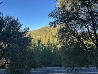 Berkshire Inn-酒店景观