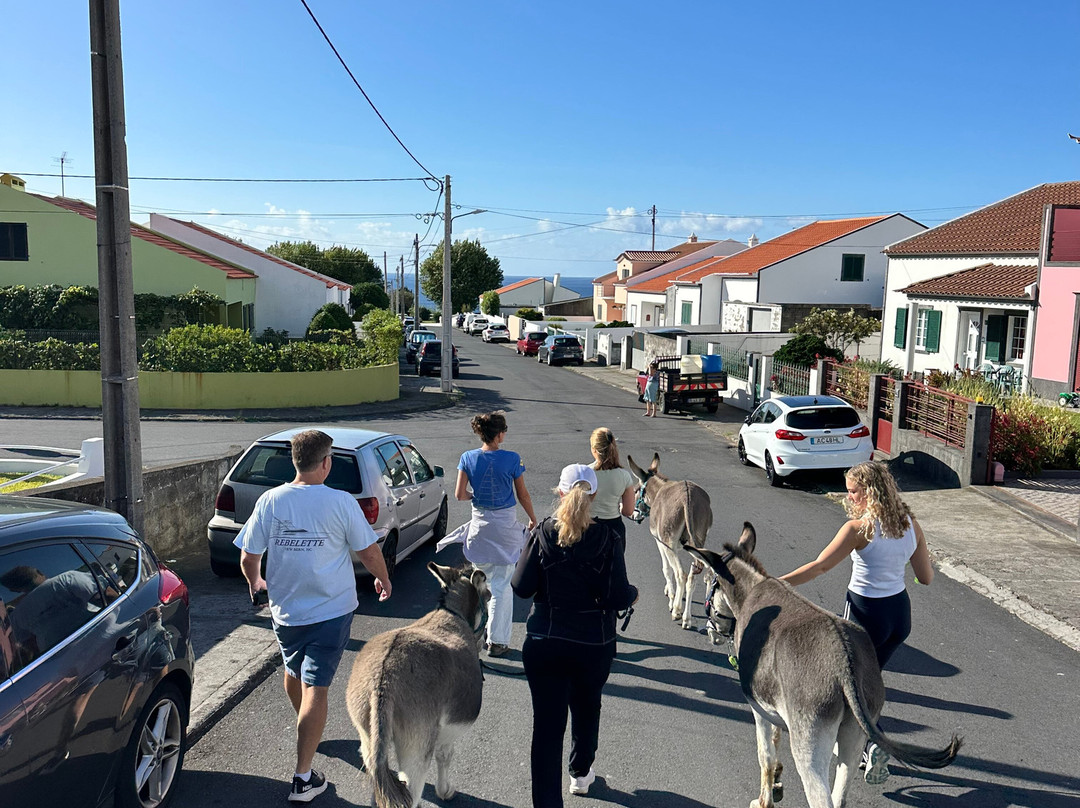 Donkeys & Friends-Agua de Alto必去景点