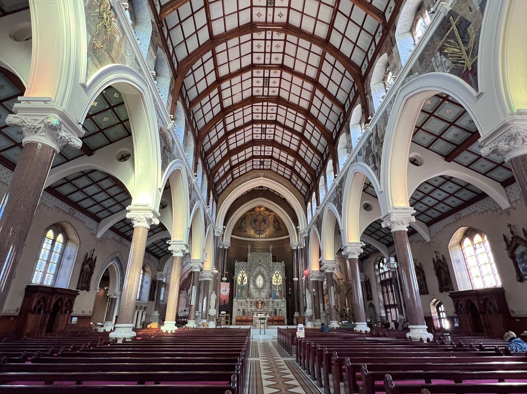 Belfast Millie Tours-贝尔法斯特必去景点