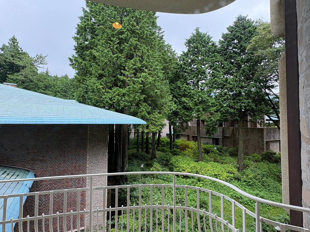 箱根王子大饭店主图