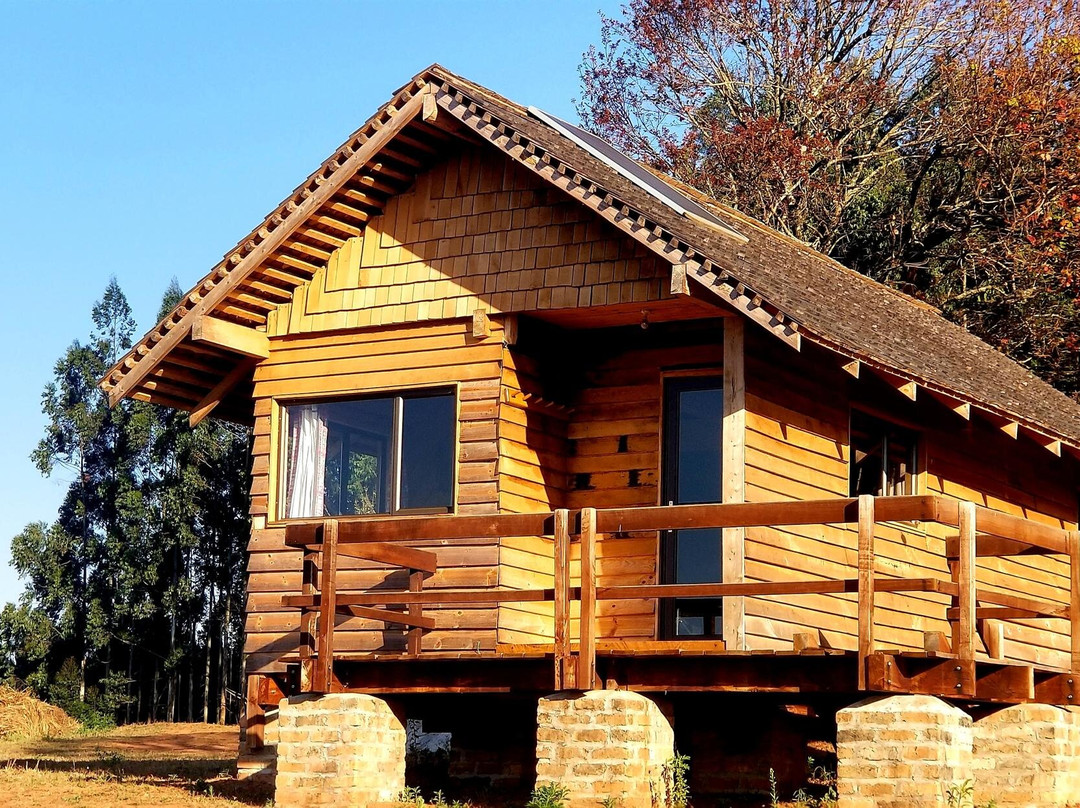 Plateau Stables-桑巴必去景点