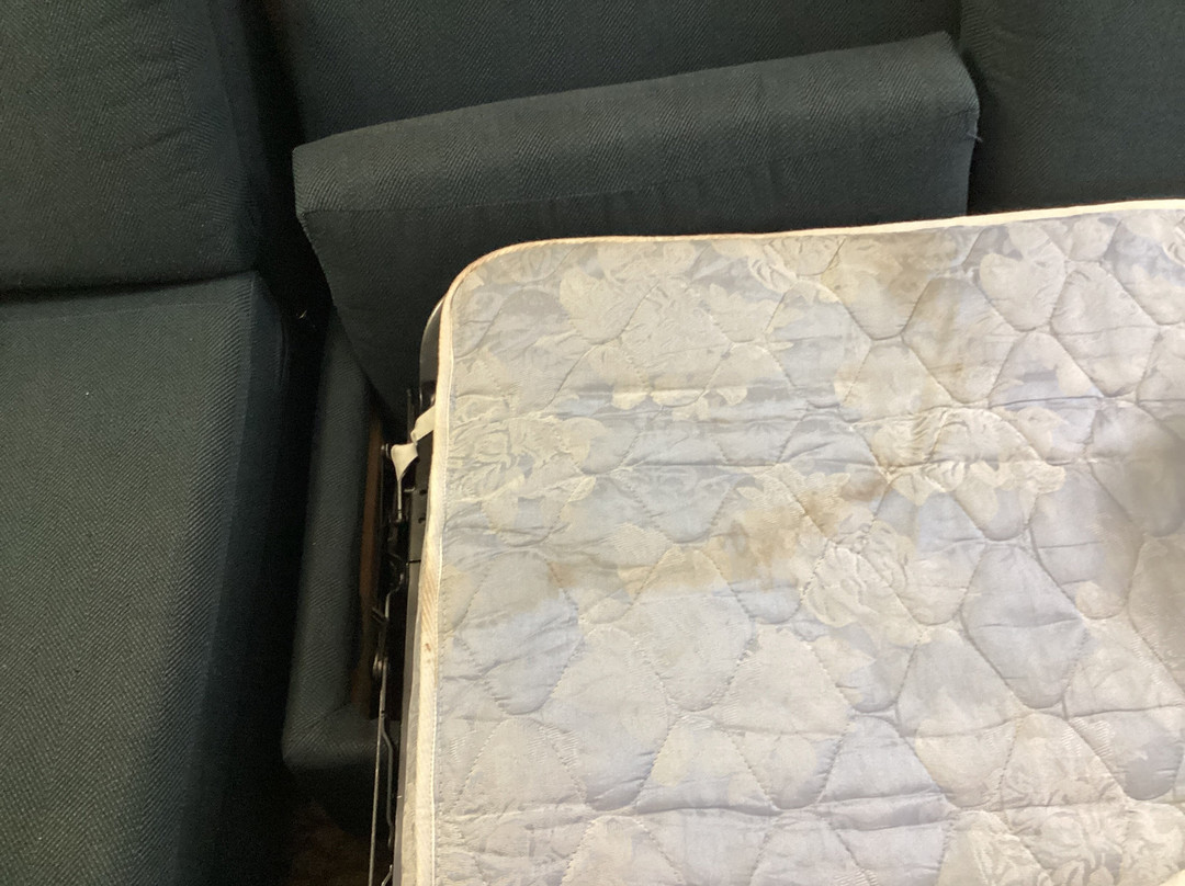 Comfort Suites Florence I-95主图