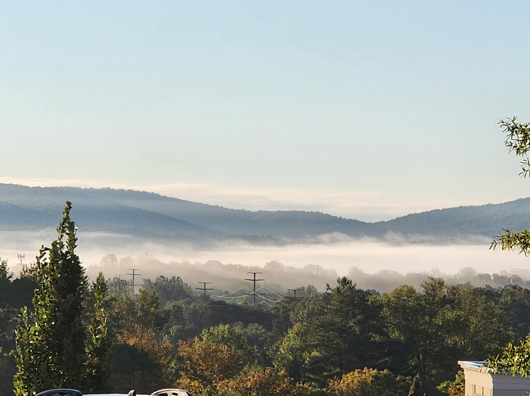 Staybridge Suites Charlottesville Airport by IHG主图