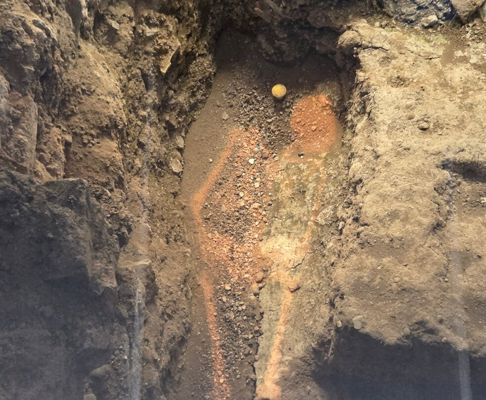 King Richard III Visitor Centre-莱切斯特必去景点