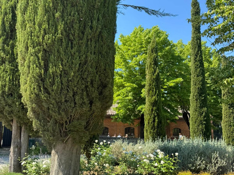 The Tuscan Wanderer-卢卡必去景点