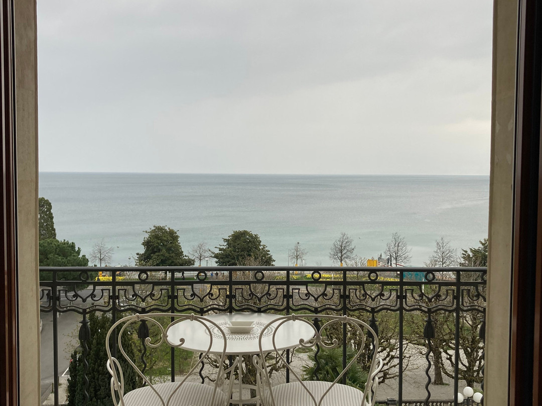 洛桑美岸皇宫大酒店主图