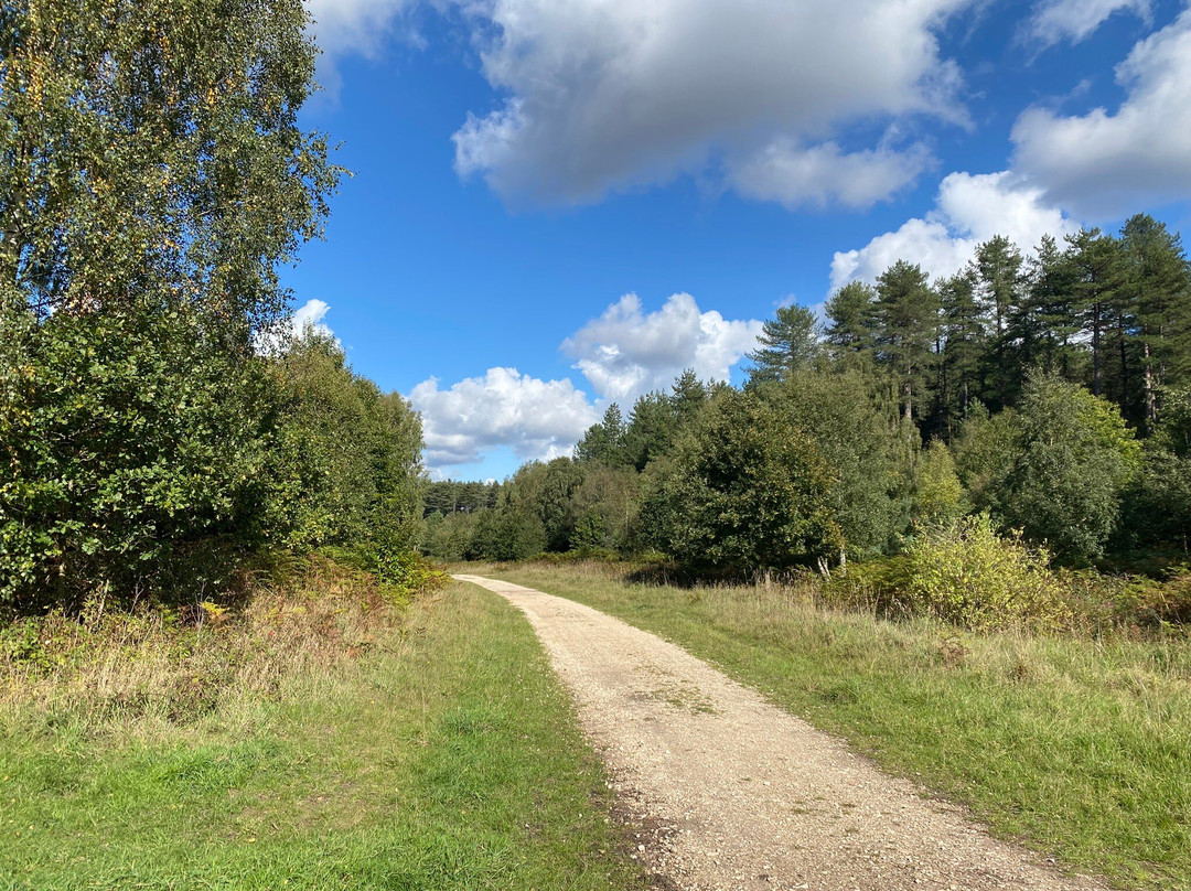 Sherwood Pines-Mansfield必去景点