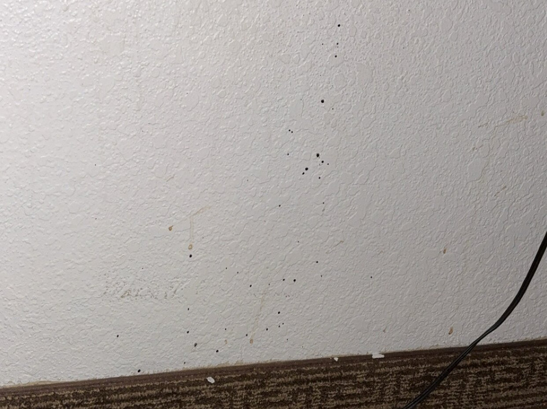 Comfort Suites主图