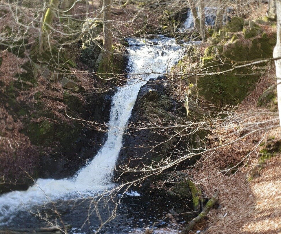 Forsakar Nature Reserve-Degeberga必去景点