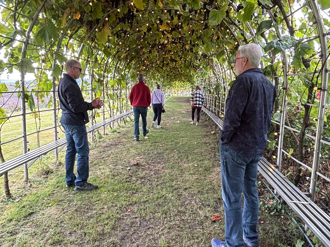 Lulu Island Winery-里士满必去景点