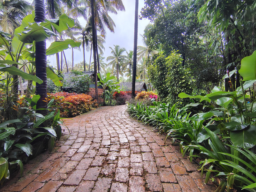 The Orchard Resort主图