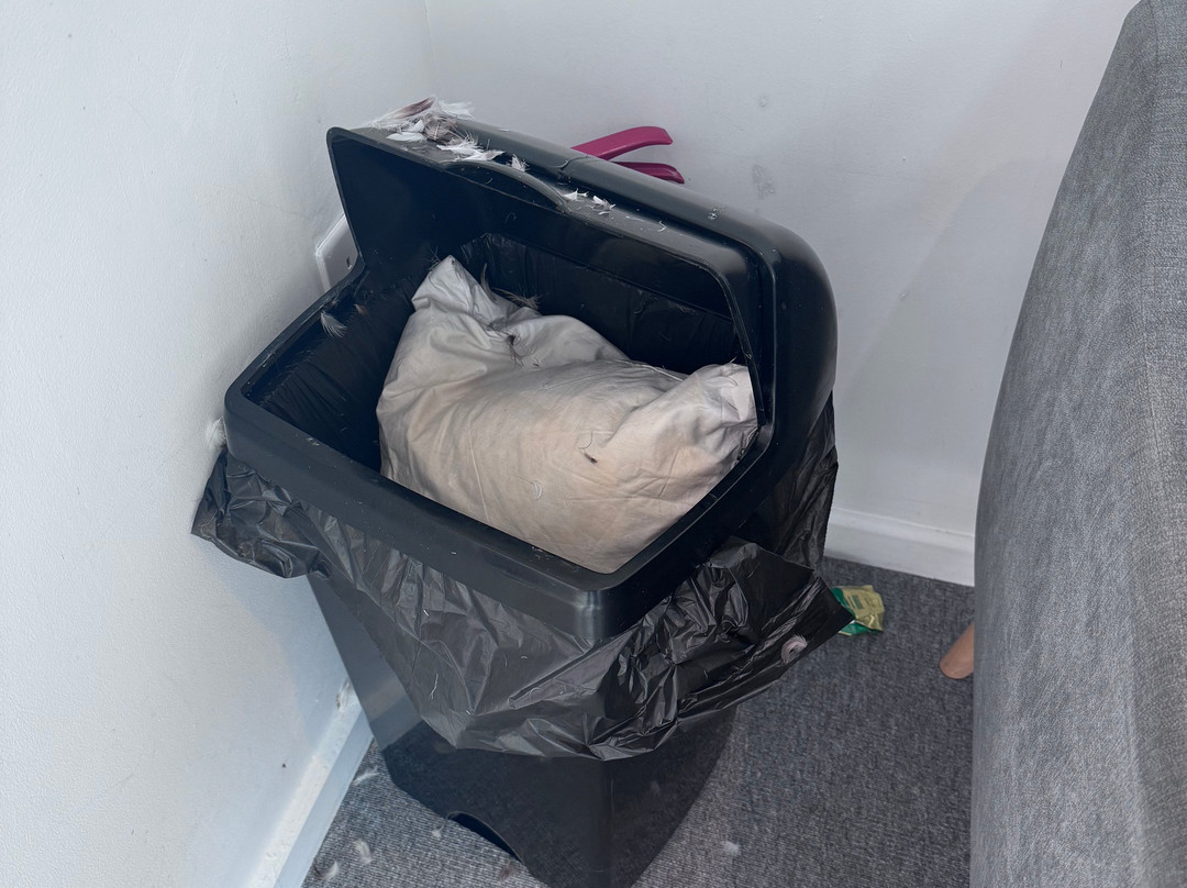 City Centre Guest House - Gloucester Park主图