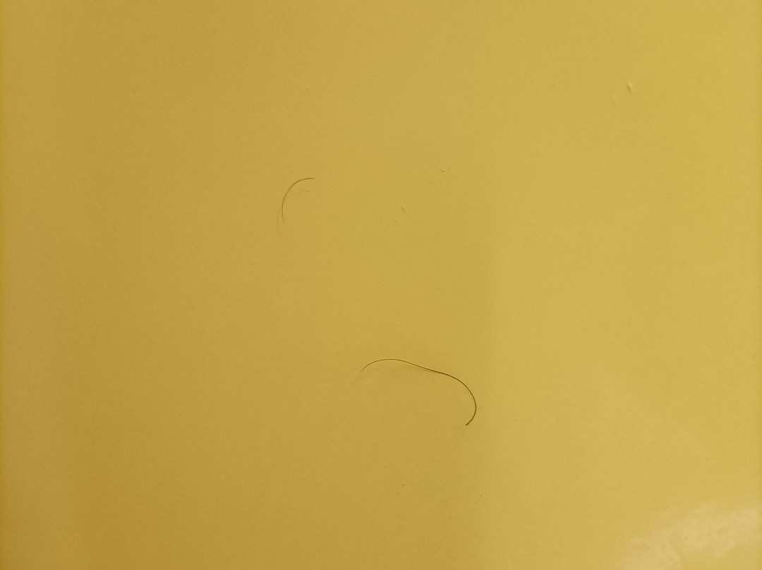 蒙维尔侬酒店主图