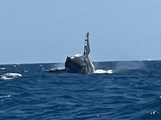 Tahina Aventuriers Madagascar-安塔那那利佛必去景点