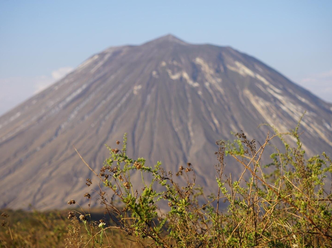 Makasa Tanzania Safaris-莫西必去景点