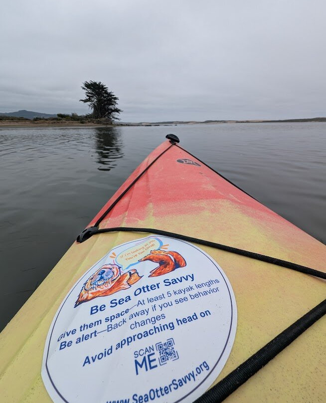 Kayak Shack-莫罗贝必去景点