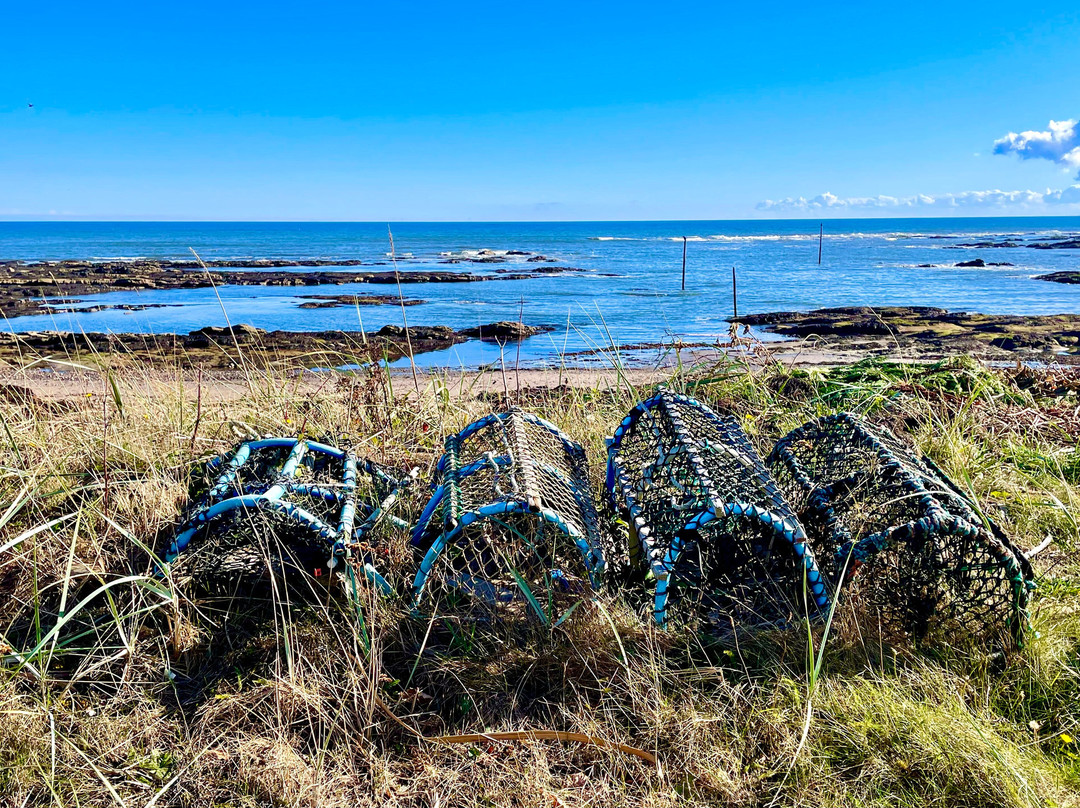 Carnoustie Beach
