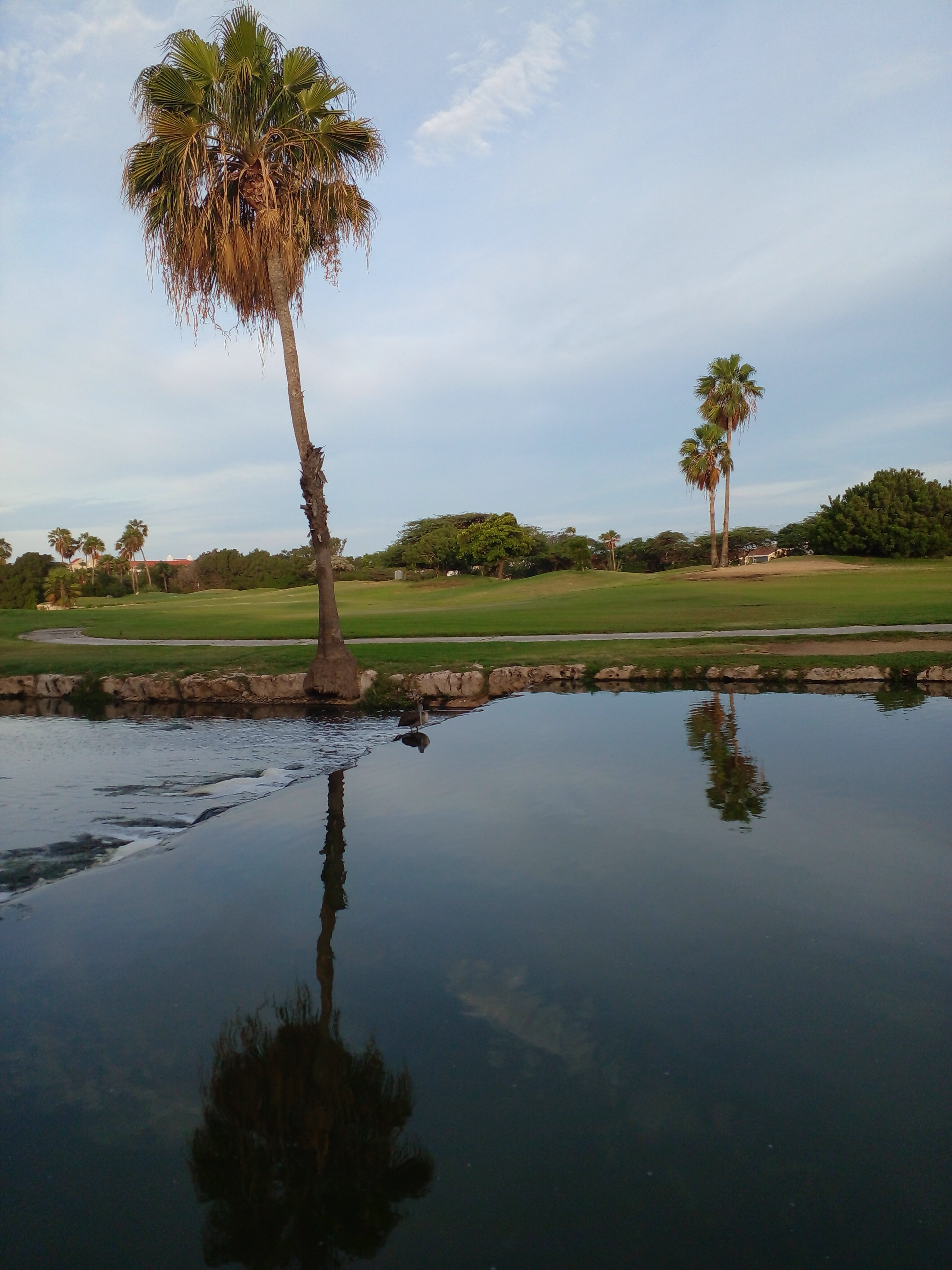 迪威村高尔夫和海滩度假酒店-浴室