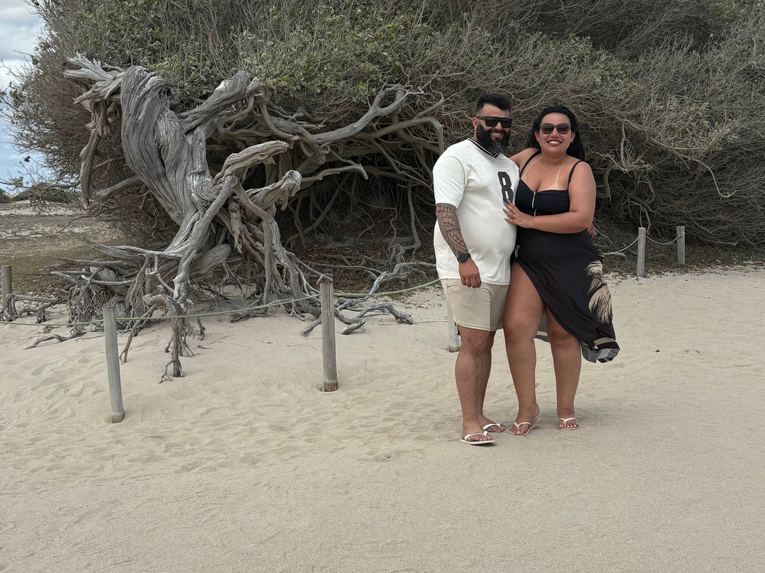 Jeri Adriano Passeios-杰里科科拉必去景点