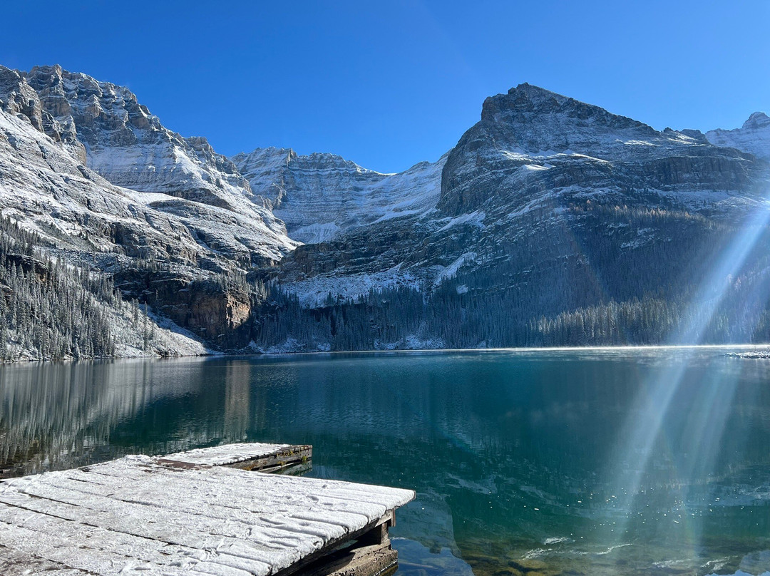 Forest Fix-班夫必去景点
