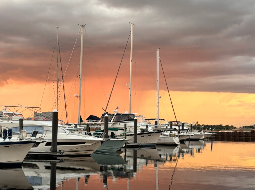 Hampton Inn & Suites Bradenton Downtown Historic District主图