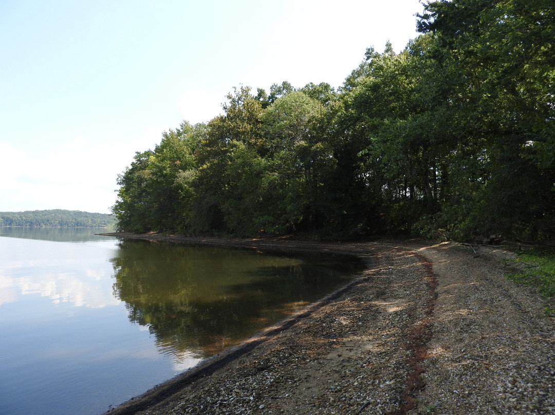 Tennessee National Wildlife Refuge-Springville必去景点