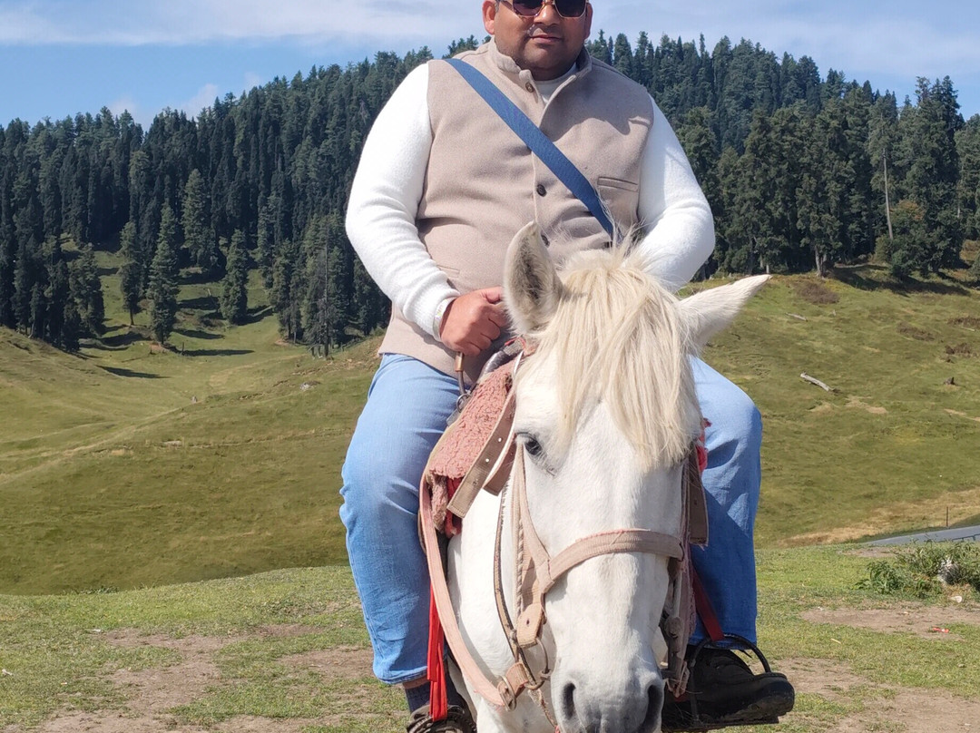 Sunway Kashmir Tour & Travels-斯利那加必去景点