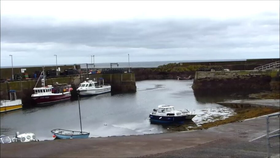 St Abbs Harbour-St Abbs必去景点