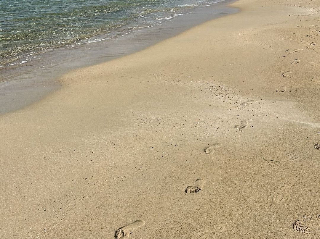 Pori Beach-Koufonissi必去景点