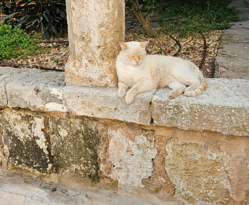 Convent Of Saint Augustine Ciutadella-休达德亚必去景点