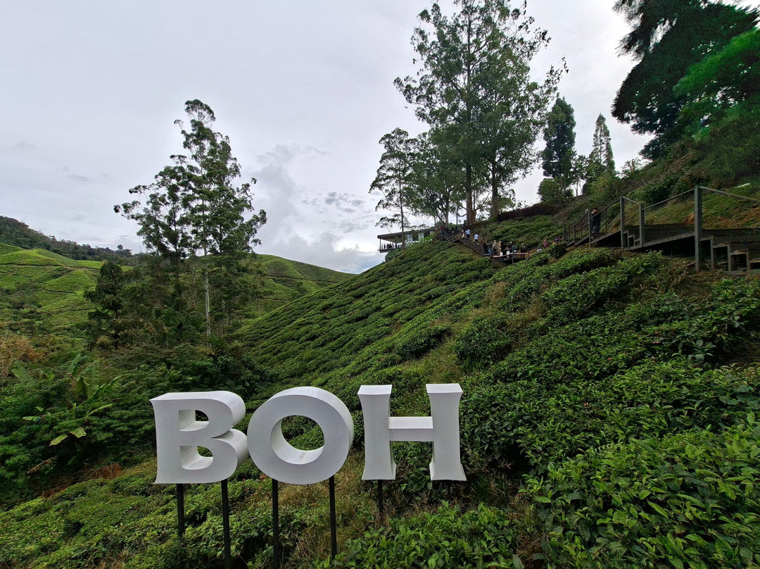 Cameron Secrets Travel and Tours Sdn Bhd-丹那拉塔必去景点