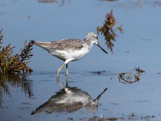 Mallorca Nature Tours-Pollenca必去景点
