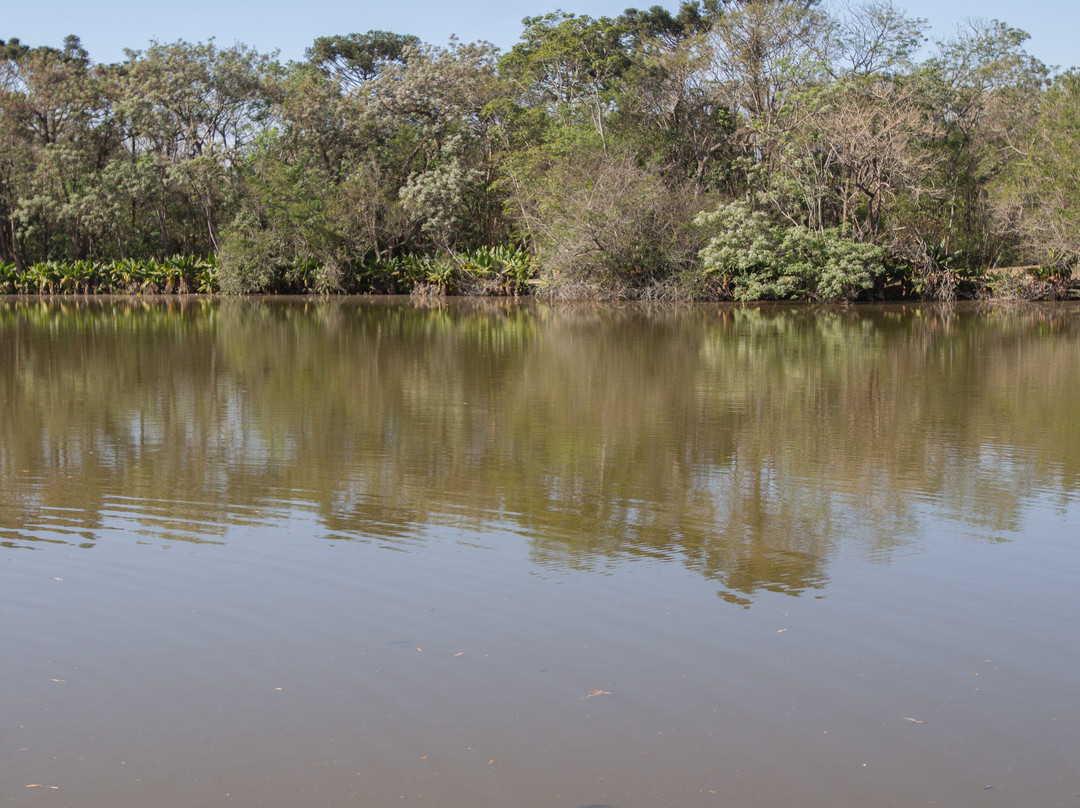 Parque Roberto Burle Marx-圣若泽杜斯坎普斯必去景点