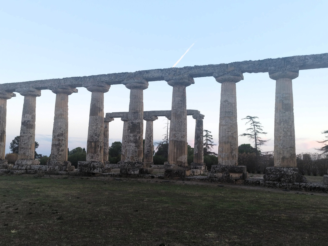 Tavole Palatine - Tempio di Hera-Bernalda必去景点