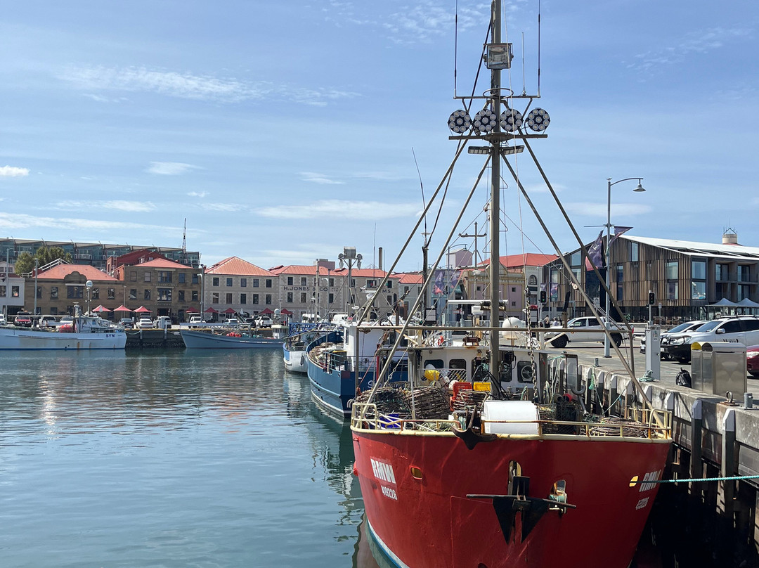 宪法码头-霍巴特必去景点