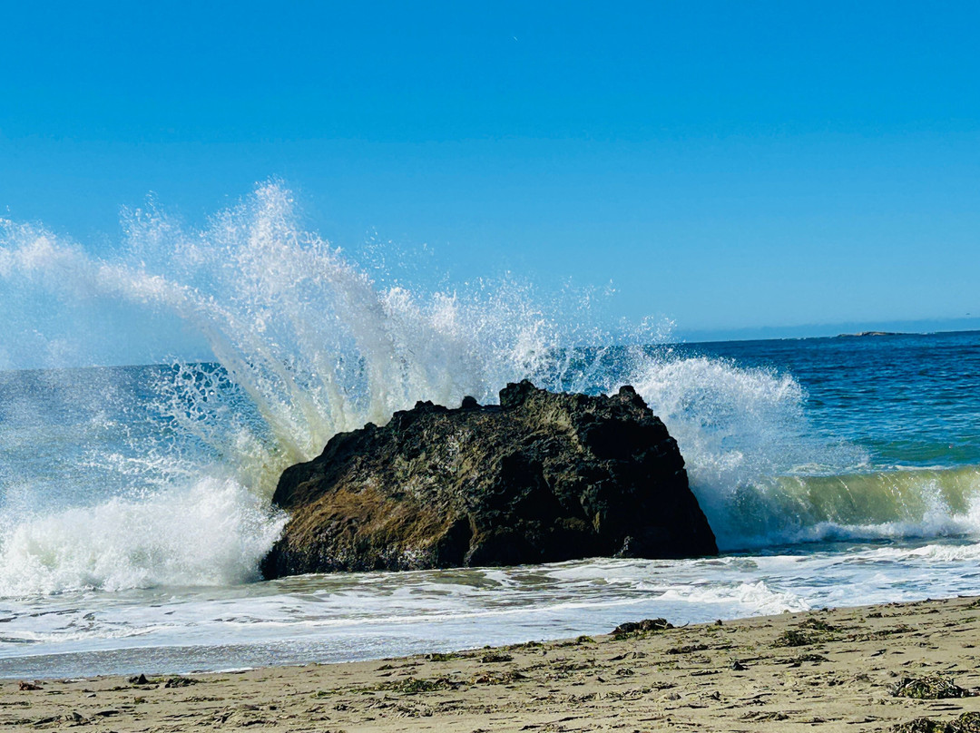 Pinnacle Gulch Coastal Access Trail-博德加湾必去景点