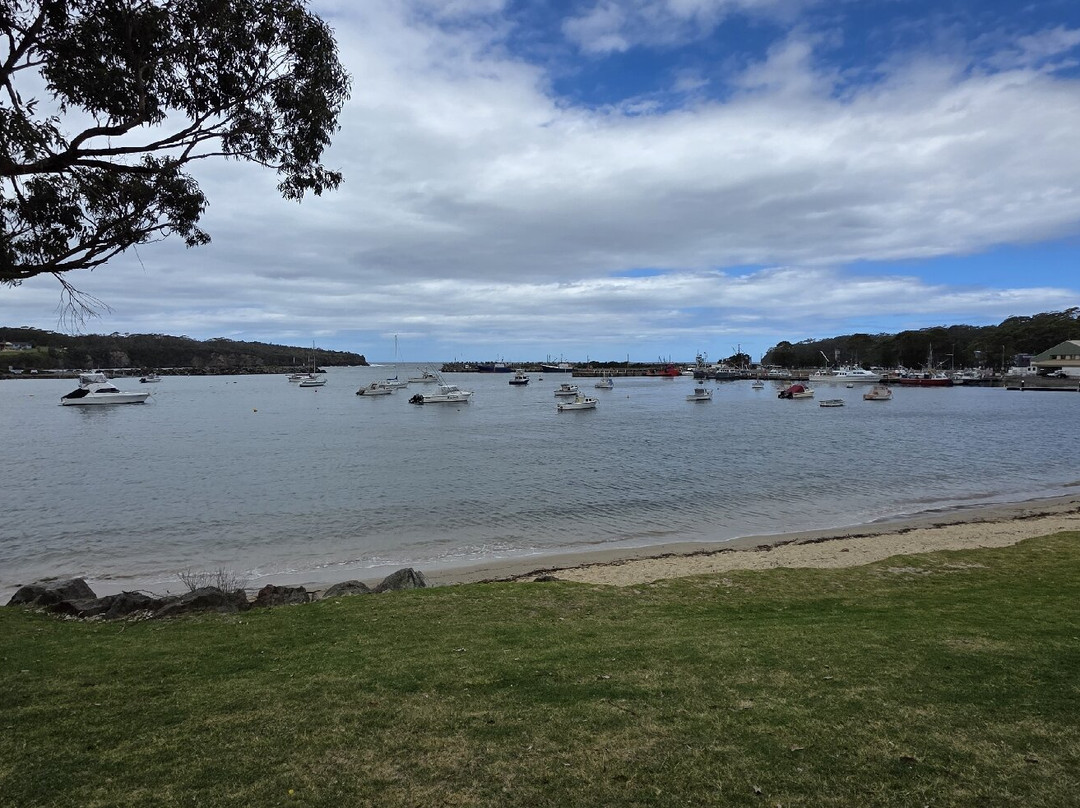 Ulladulla Harbour-阿勒达拉必去景点