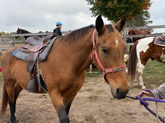 Pathways on Pleasure Valley-Uxbridge必去景点