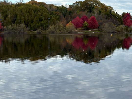 Hugo Bus Tours and Shore Excursions-圣约翰必去景点