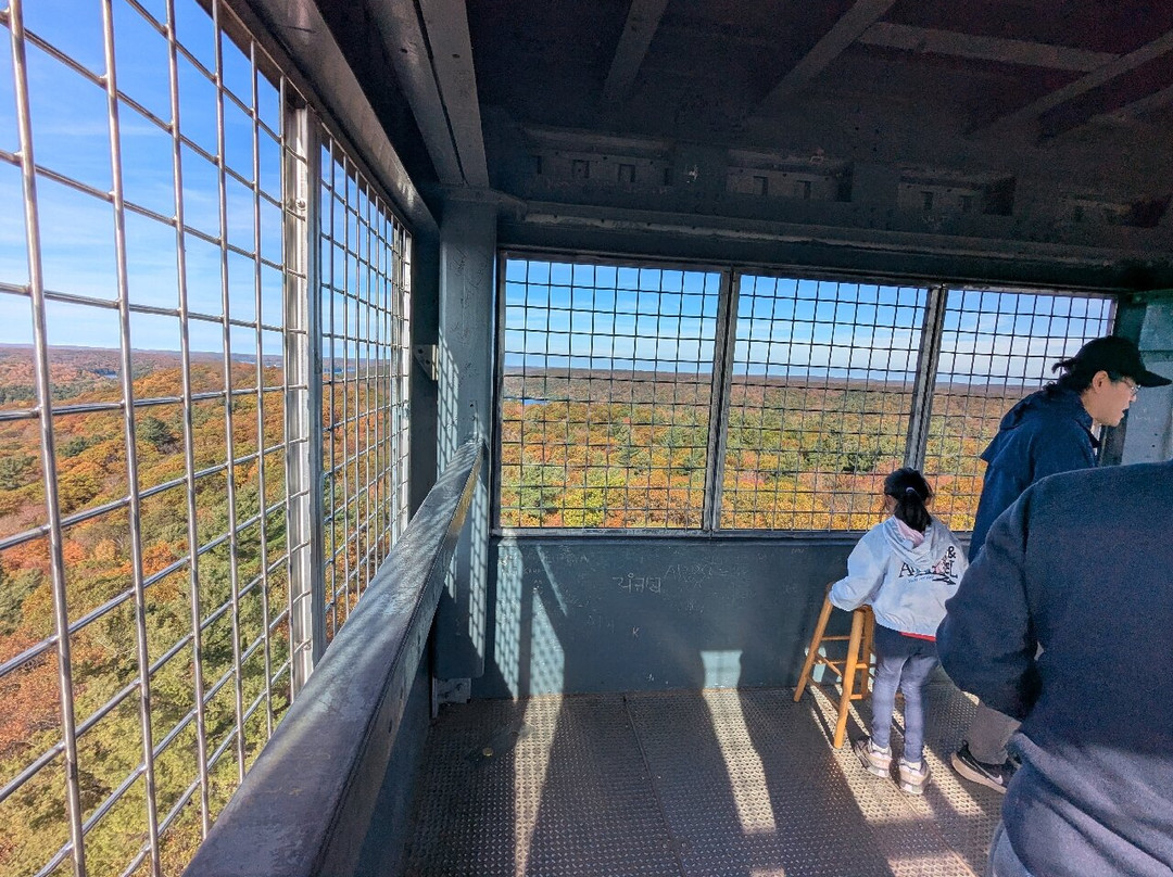 Dorset Scenic Lookout Tower-Dorset必去景点