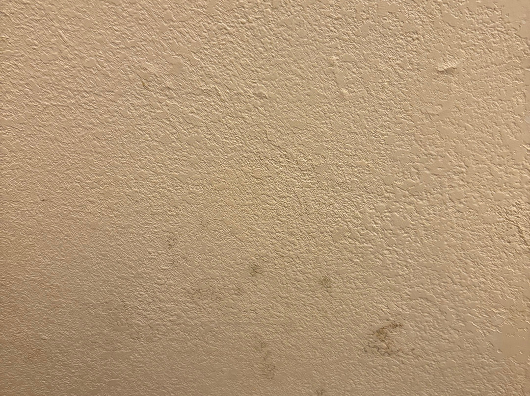 Red Roof Inn Elkhart主图