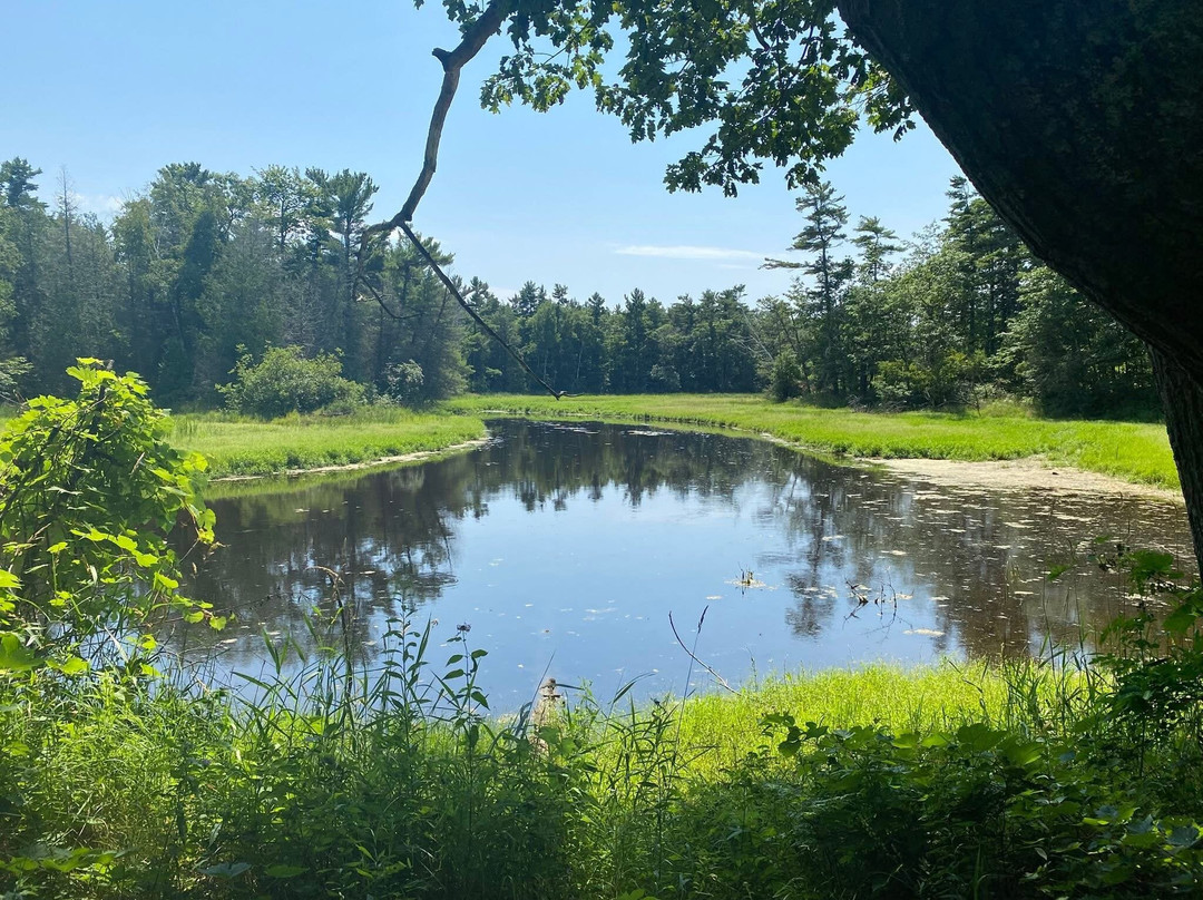 Point Beach State Forest-Two Rivers必去景点