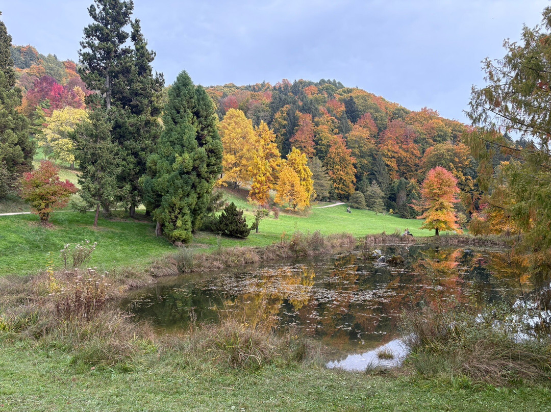 l'Arboretum du Vallon de l'Aubonne-Aubonne必去景点