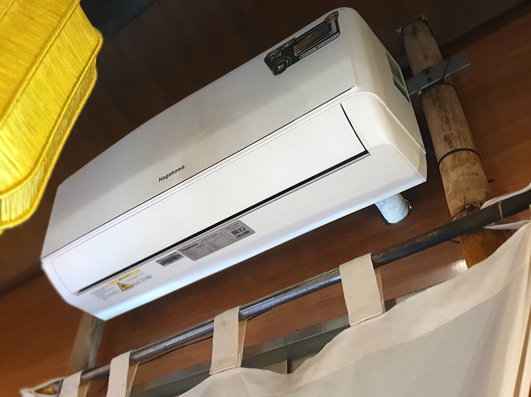 会安椰子树下民宿主图