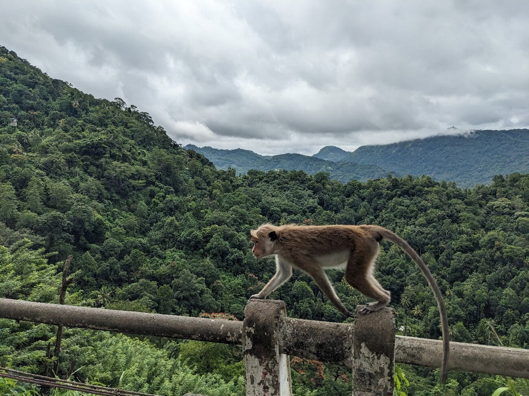 Ceylonka Tours-Pamunugama必去景点