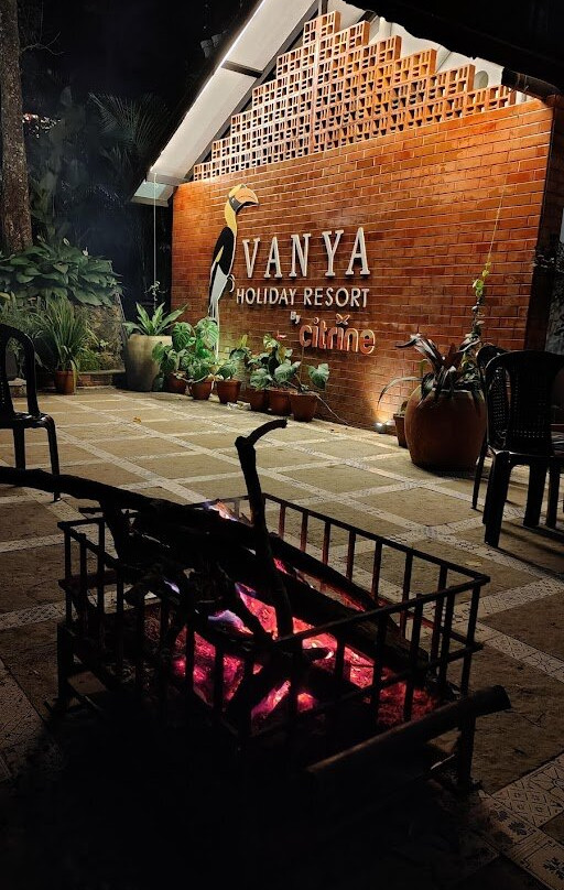 VANYA by Citrine主图